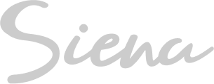 rio-custom-logo8-grey.png